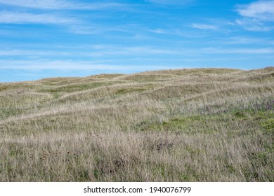 Hummock and Swale Topography in Tom McCall Nature Preserve near Mosier, Oregon. A result of hummocky and swaley cross-stratification forming small hills like moguls dotting a landscape. - Shutterstock ID 1940076799