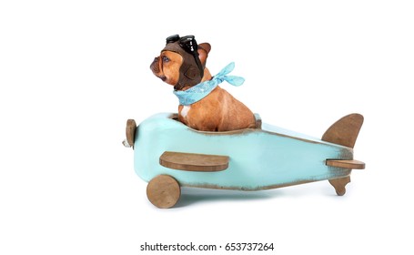 humorvoller französischer Bulldogge, der auf Holzflugzeugen fliegt, einzeln auf Weiß                              