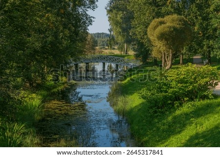 A humpback bridge over the pond 