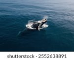 humpback whale breaching on pacific ocean background