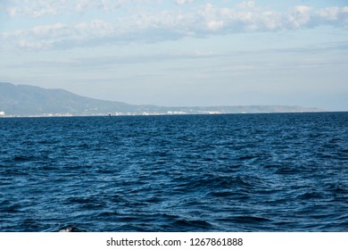 Humpback Whale Cavorting In Bucerias Bay Near The Marieta Islands Near Punta De Mita, Nayarit, Mexico