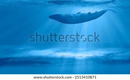 A humpback whale floating on the clouds and the lights filtering above it