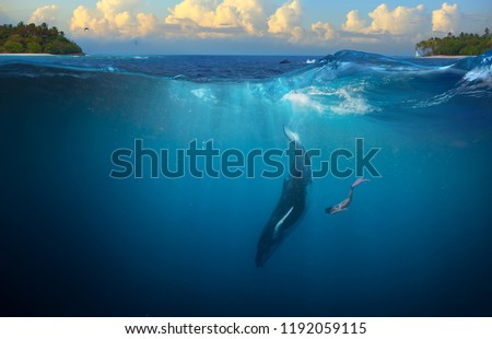 Humpback Whale underwater girl diving in tropical water background