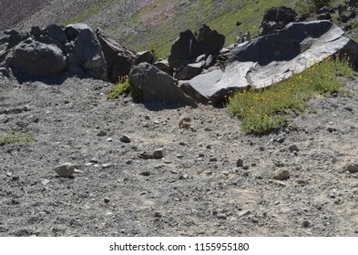 Humphreys Peak, Arizona