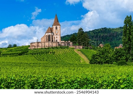 Hunawihr, Alsace, France: Hilltop fortified church surrounded by vineyard fields in the Alsace wine route area