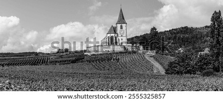Hunawihr, Alsace, France: Hilltop fortified church surrounded by vineyard fields in the Alsace wine route area in black and white