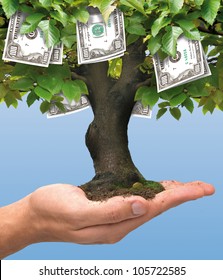 Hundred Dollars Money Tree Growing On Human Hand -  Business Concept 