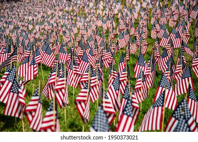 Hundreds American Flags Planted On Lawn Stock Photo 1950373021 ...