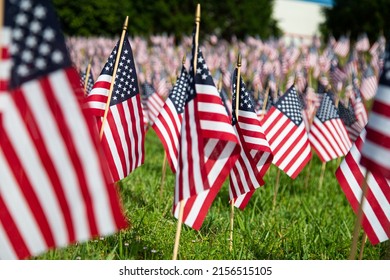 Hundreds American Flags Planted On Lawn Stock Photo 2156515105 ...