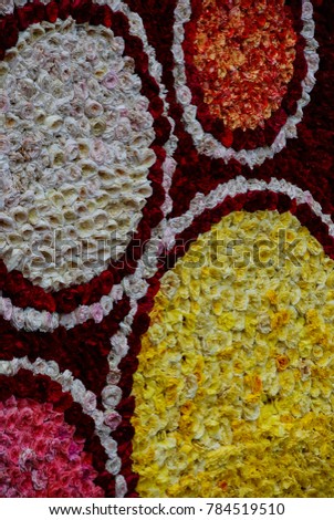 Hundreds of roseblooms, arranged as an abstract pattern