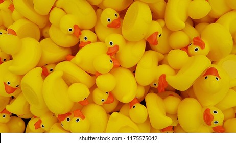 Hundreds Of Yellow Rubber Duckies ,collected After A Duck Race ,laying In A Pile.