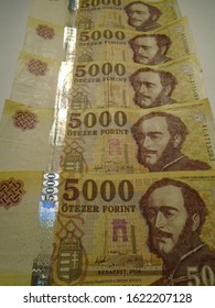 Hungarian 5000 Forint Bank Notes 2020