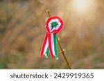 Hungarian cockade on spring tree with bud in sunlight. Tricolor rosette is the symbol of the Hungarian national day 15th of march. Symbol of the Hungarian revolution of 1848. Blurred background.