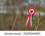 Hungarian cockade pinned on spring tree with bud. Tricolor rosette is the symbol of the Hungarian national day 15th of march. Symbol of the Hungarian revolution of 1848. Blurred background, copy space