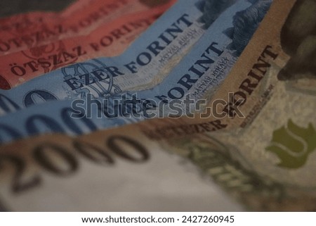 Hungarian currency close up cions and notes