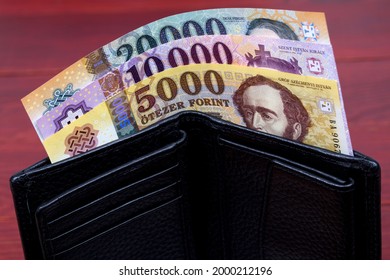 Hungarian Money - Forint In The Black Wallet