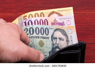 Hungarian Money - Forint In The Black Wallet