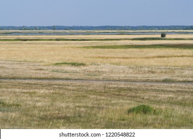 Hungarian National Park Hortobágy - The Puszta