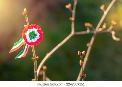 Hungarian spirit on national holiday 15th march with rosette pin and sunlight - Shutterstock ID 2249389151