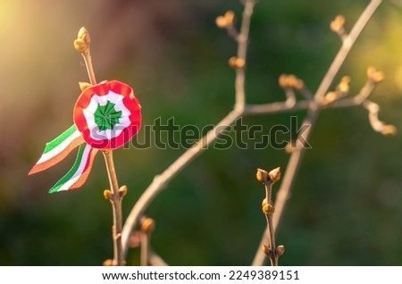 Hungarian spirit on national holiday 15th march with rosette pin and sunlight