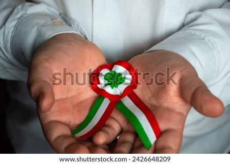 Hungarian tricolor cockade in a hands