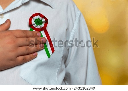 Hungarian tricolor cockade on a shirt