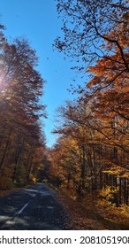 Mátra, Hungary: Autumn Hike In The Mátra