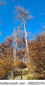 Mátra, Hungary: Autumn Hike In The Mátra