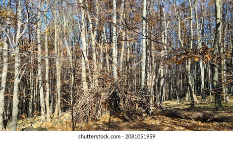 Mátra, Hungary: Autumn Hike In The Mátra