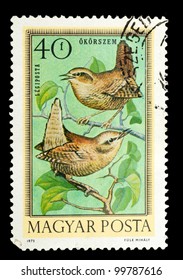 HUNGARY - CIRCA 1973: A stamp printed in Hungary showing birds circa 1973