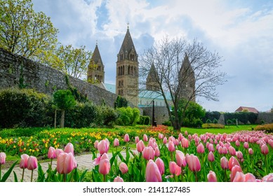 Hungary, Pécs City Center Blooms In April