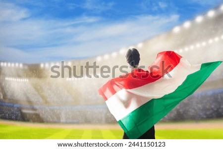 Hungary football supporter on stadium. Hungarian fans on soccer pitch watching team play. Group of supporters with flag and national jersey cheering for Hungary. Championship game.