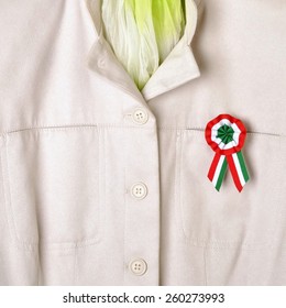 Hungary National Day Is March 15.th.The Cockade Symbol Of The Holiday, Stylist Women's Clothing.