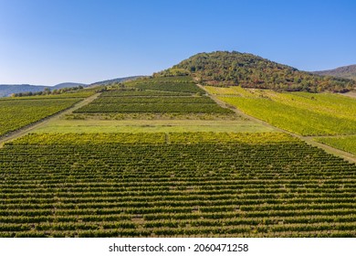 Hungría, paisaje Tokaj con viñedos. El paisaje cultural histórico de la región vinícola de Tokaj ha sido declarado Patrimonio de la Humanidad por la UNESCO.