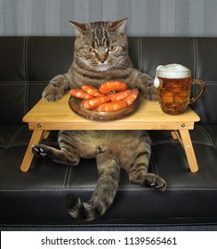 The Hungry Cat Is Drinking Beer And Eating Shrimp On The Sofa.