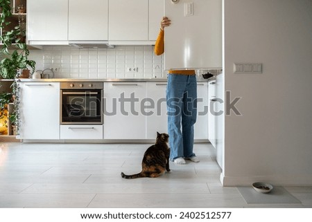 Hungry curious fat cat begging for food from refrigerator sitting on floor on kitchen at home looking at pet owner. Domestic animal asks for snack to woman taking products from fridge. Pet behavior. 