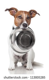 Hungry Dog Food Bowl Mouth