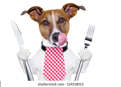 Hungry Dog With Knife And Fork  For Dinner