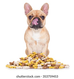 Hungry French Bulldog Dog Behind  A Big Mound  Of Food , Isolated On White Background