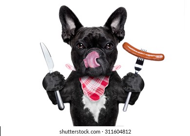 Dog Eating Sausages Images, Stock Photos & Vectors | Shutterstock