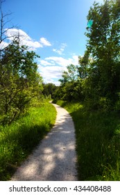 Hungry Hollow Trail Georgetown Ontario