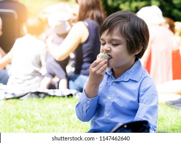 Hungry Kid Eating Fresh Tortilla Wraps With Salmon Mixed Vegetables With Yummy Face,Cute  Boy Siting On Rug Having A Picnic In The Park, Kid Eating Mexican Sandwich Food For His Snack.