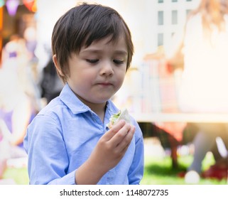 Hungry Kid Eating Fresh Tortilla Wraps With Salmon Mixed Vegetables,Cute  Boy Siting On Rug Having A Picnic In The Park, Kid Eating Mexican Sandwich Food For His Snack.