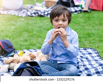 Hungry Kid Eating Fresh Tortilla Wraps With Salmon Mixed Vegetables, Cute  Boy And Teddy Bear Siting On Rug Having A Picnic In The Park, Kid Eating Mexican Sandwich Food For His Snack.