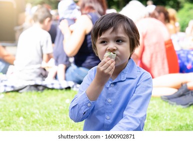 Hungry Kid Eating Fresh Tortilla Wraps With Salmon Mixed Vegetables, Cute  Boy Siting On Rug Having A Picnic In The Park, Kid Eating Mexican Sandwich Food For His Snack.