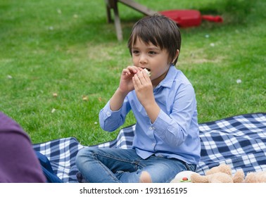 Hungry Kid Eating Fresh Tortilla Wraps With Salmon Mixed Vegetables, Cute  Boy Siting On Rug Having A Picnic In The Park, Kid Eating Mexican Sandwich Food For His Snack.