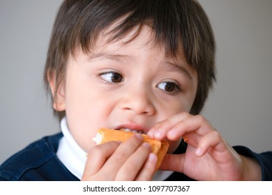 Hungry little boy eating fresh tortilla wraps with chicken, bacon and mixed vegetables, Cute school kid eating Mexican sandwich food for his lunch, Healthy food for Children concept