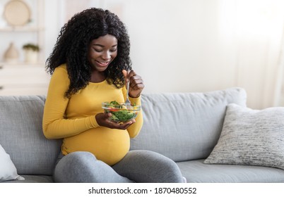 Hungry Pregnant African American Woman Eating Fresh Salad For Lunch, Sitting On Sofa In Living Room And Looking At Her Food, Copy Space. Happy Black Lady Expecting Baby, Enjoying Healty Food