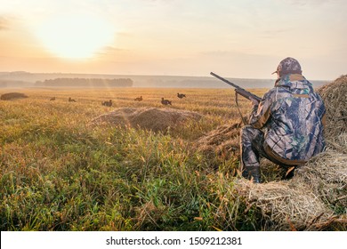 Hunter in camouflage with a gun hunting on black grouse. Hunting for game birds. Hunters open season in autumn.