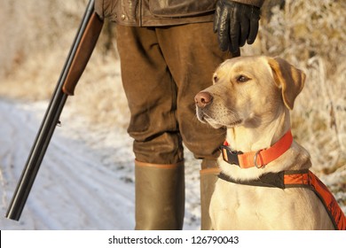 Hunter With Dog